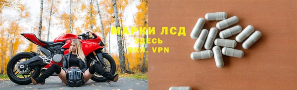 стафф Богородицк