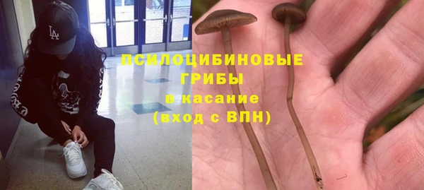 стафф Богородицк