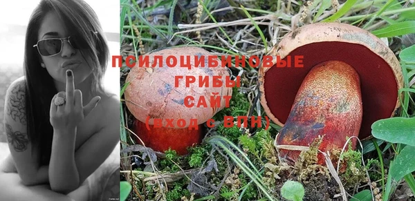 прущий лед Богородск